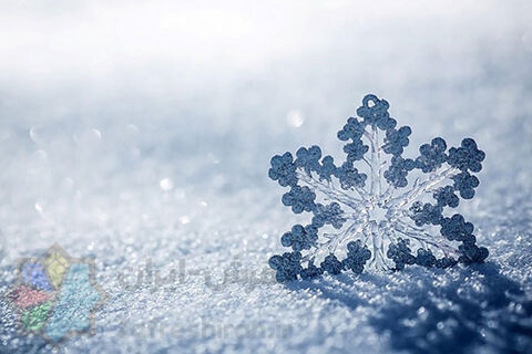 چگونه برف، صدای محیط را جذب می‌کند؟