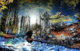 عکس ارسالی از جناب آقای محمد صابری