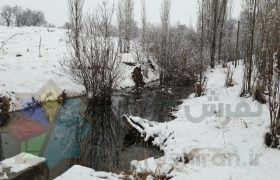 هوای برفی زیبای پارک جنگلی تفرش