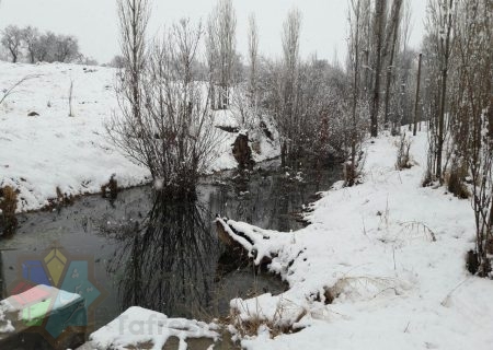 هوای برفی زیبای پارک جنگلی تفرش