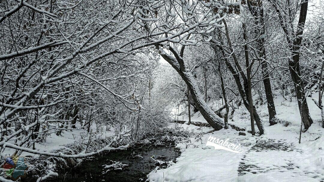 طبیعت زمستانی رودخانه کناربر تفرش